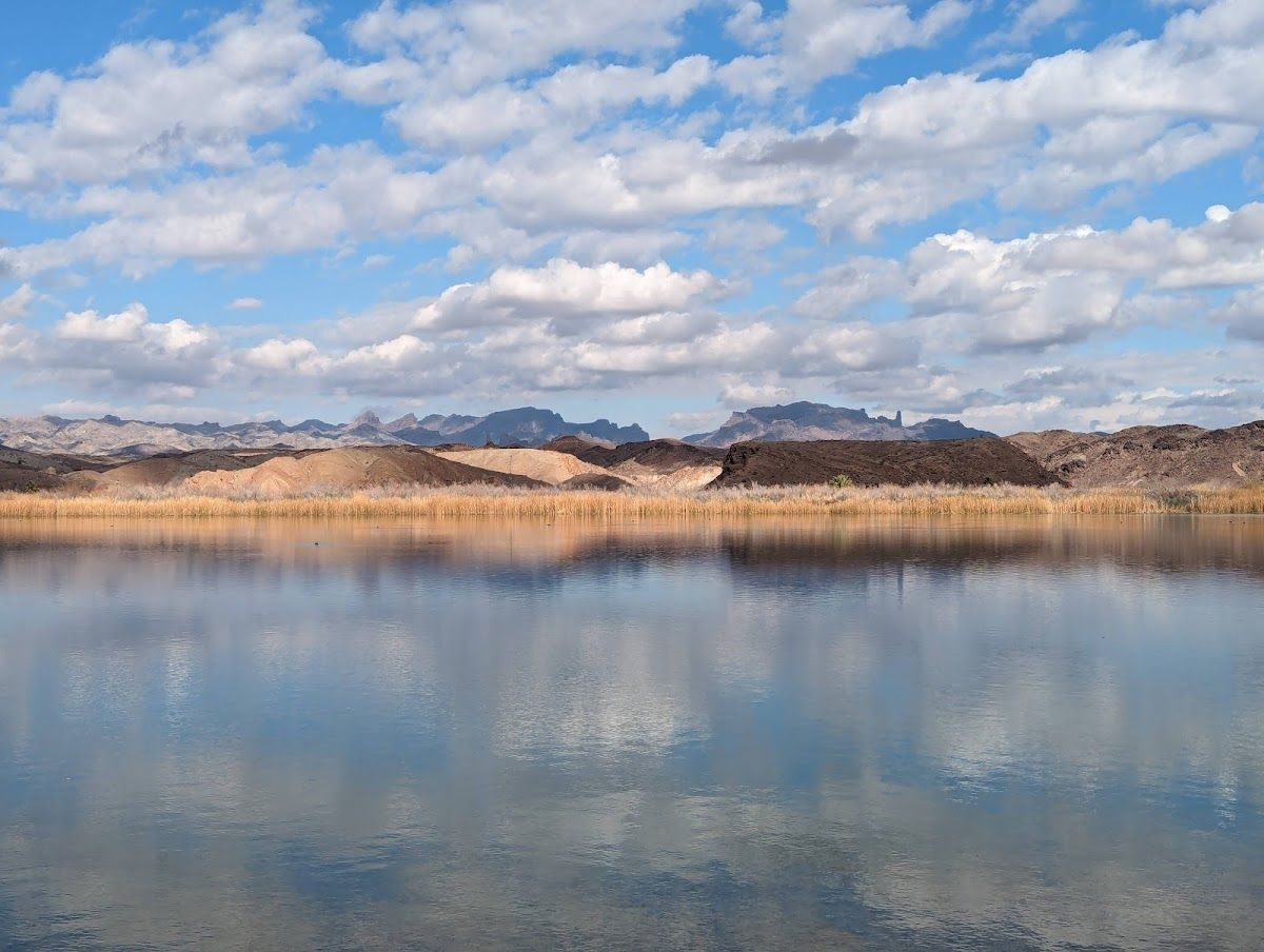 BlueWater Resort & Casino photo 10