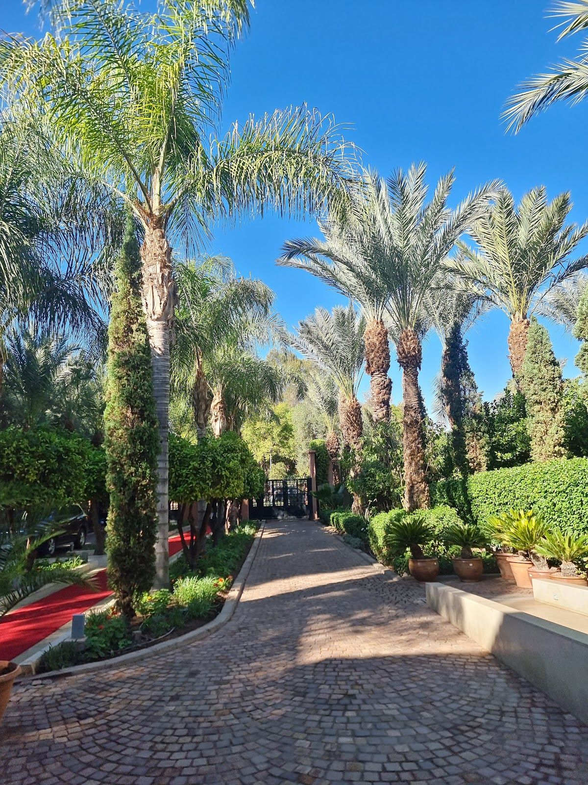 Casino Le Mirage Poker photo 9