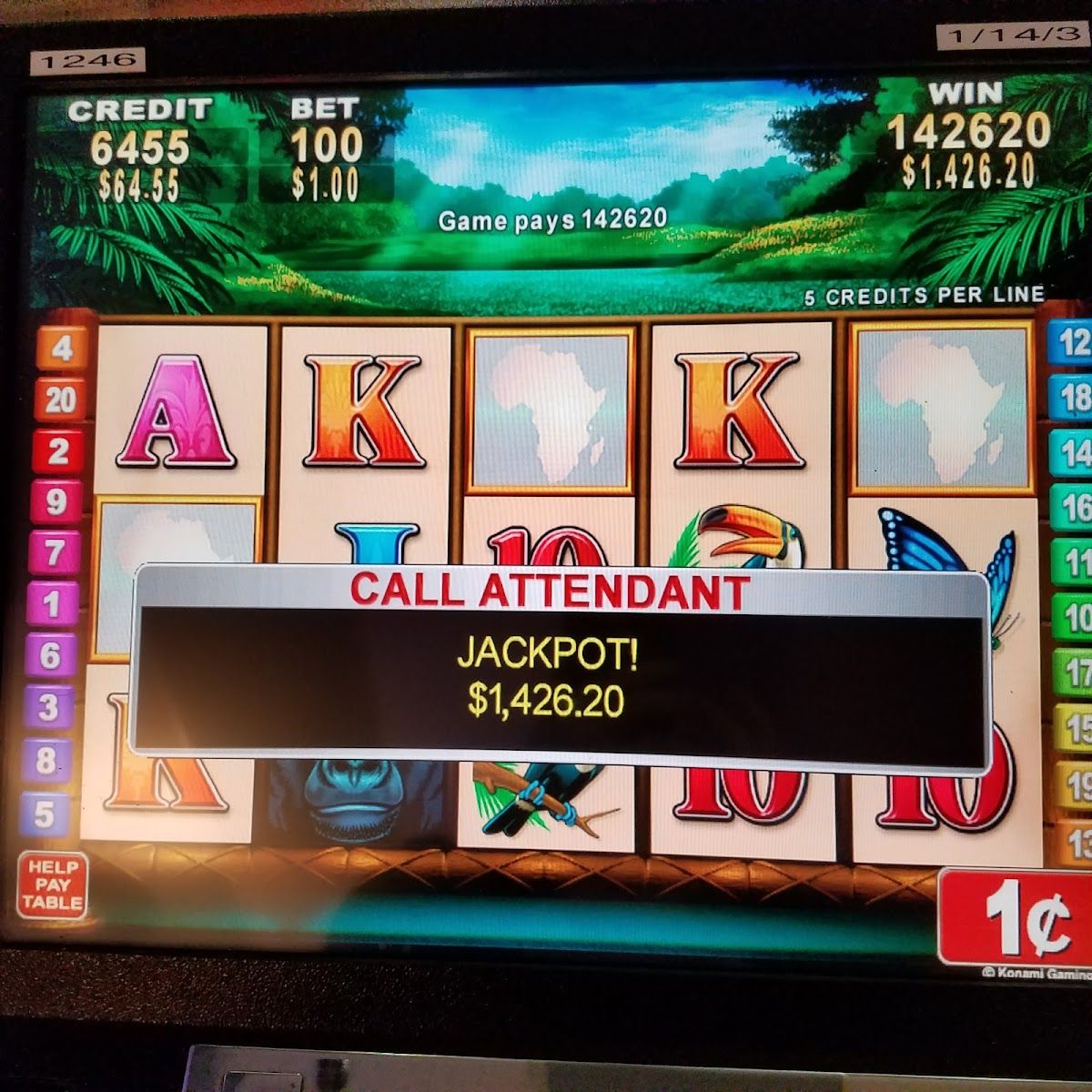 Slot World photo 6
