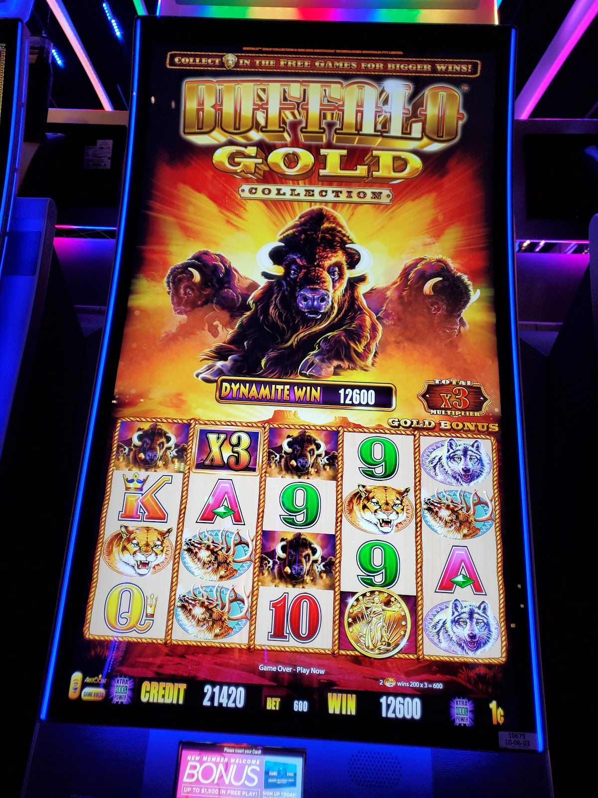 Desert Diamond Casino West Valley photo 7