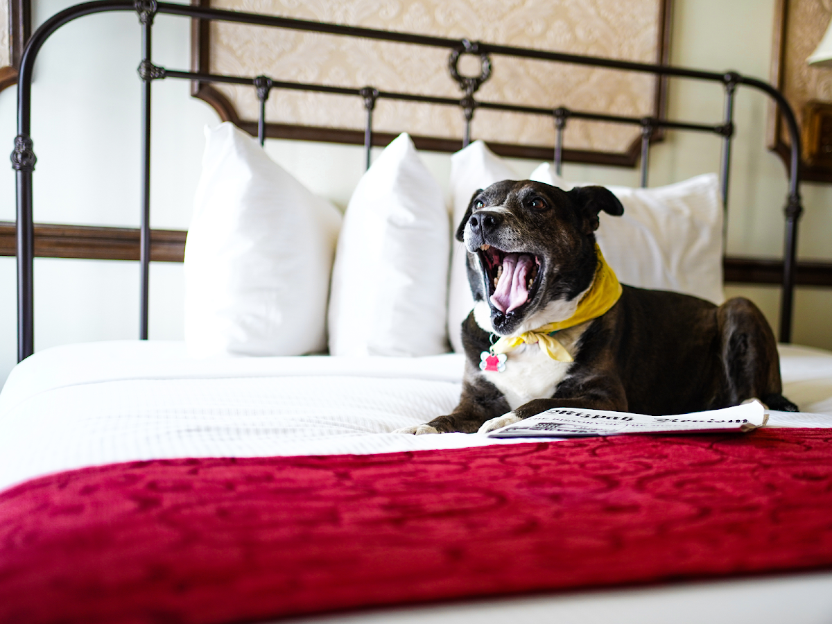 Mizpah Hotel photo 8