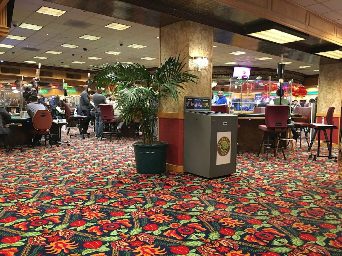 Artichoke Joes Casino photo 4