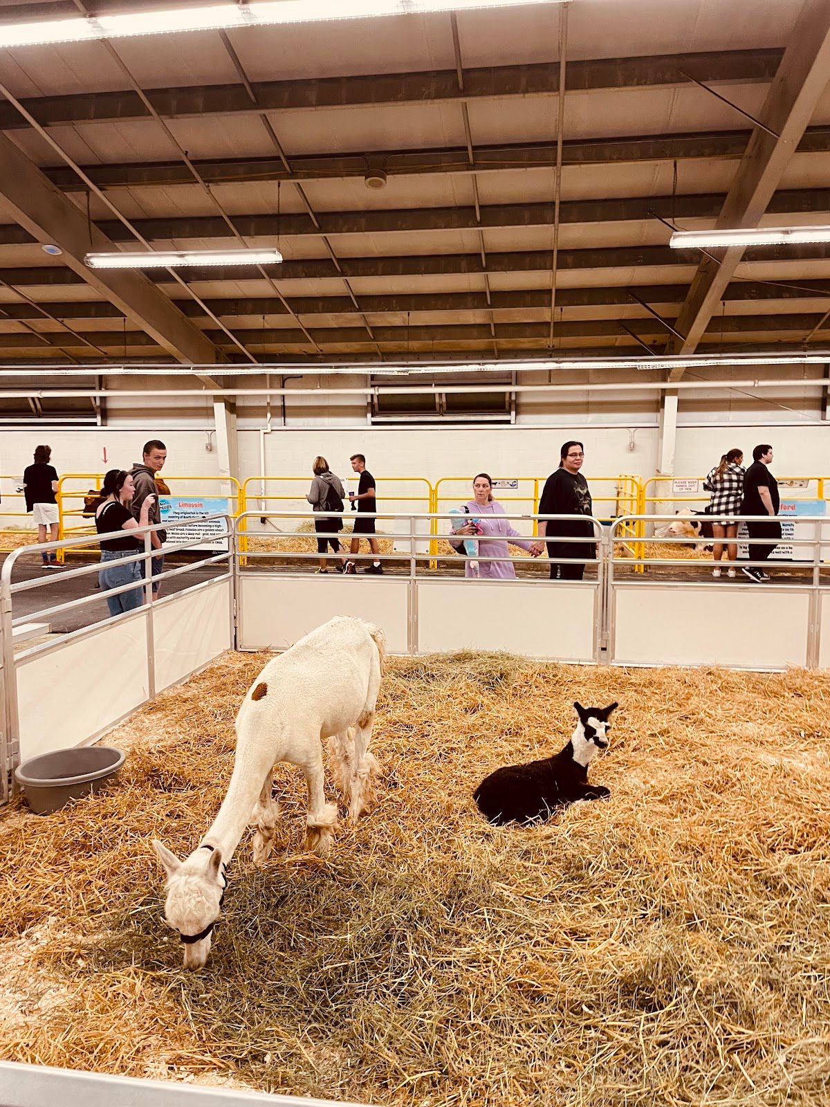 Western Fair District Slots photo 10