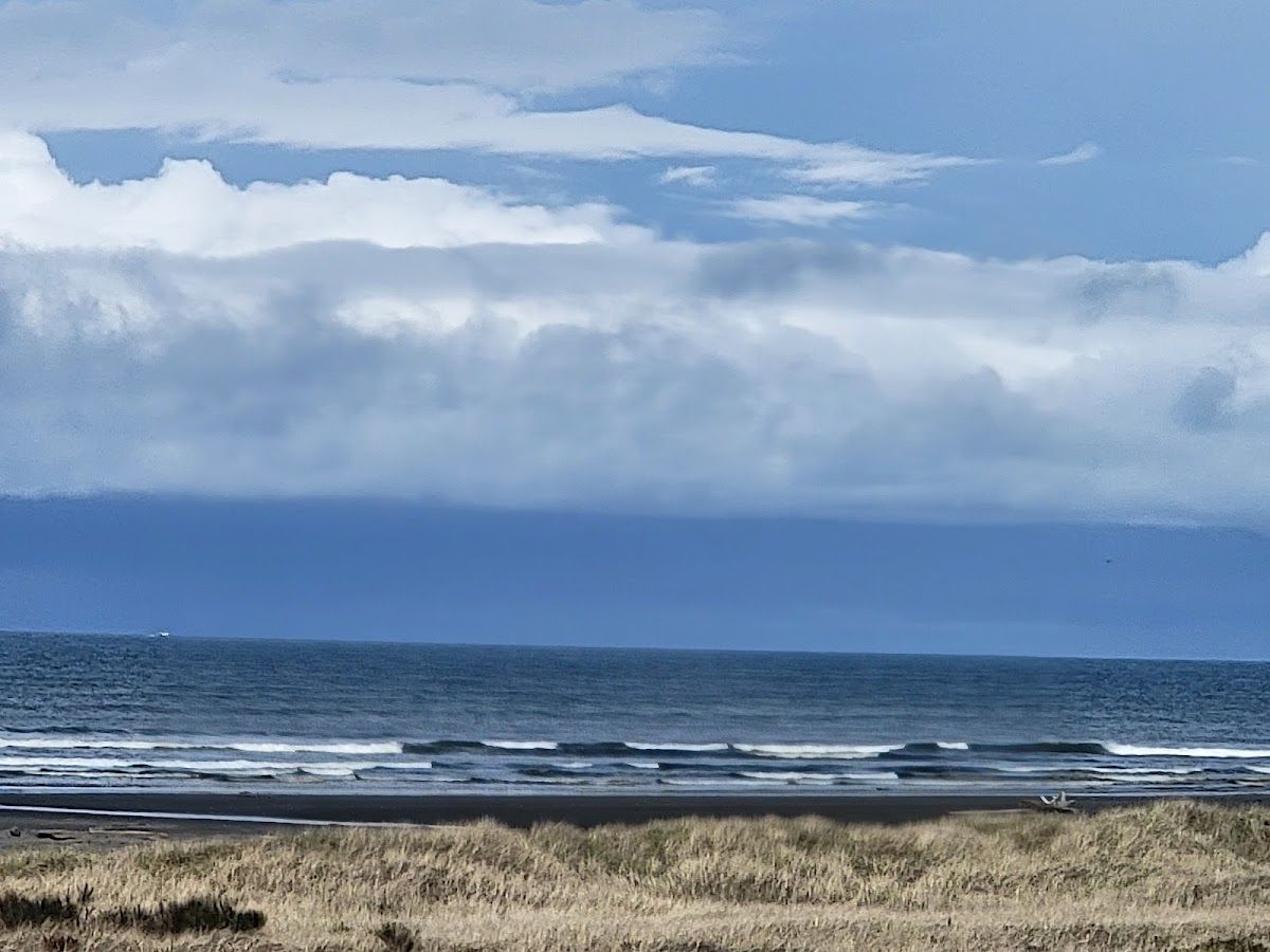 Quinault Beach Resort and Casino Poker Room photo 2