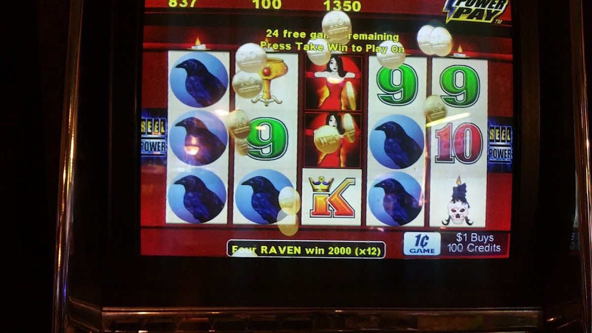 Wild Card Saloon and Casino photo 7