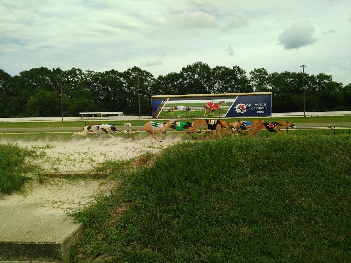 Mobile Greyhound Park photo 3