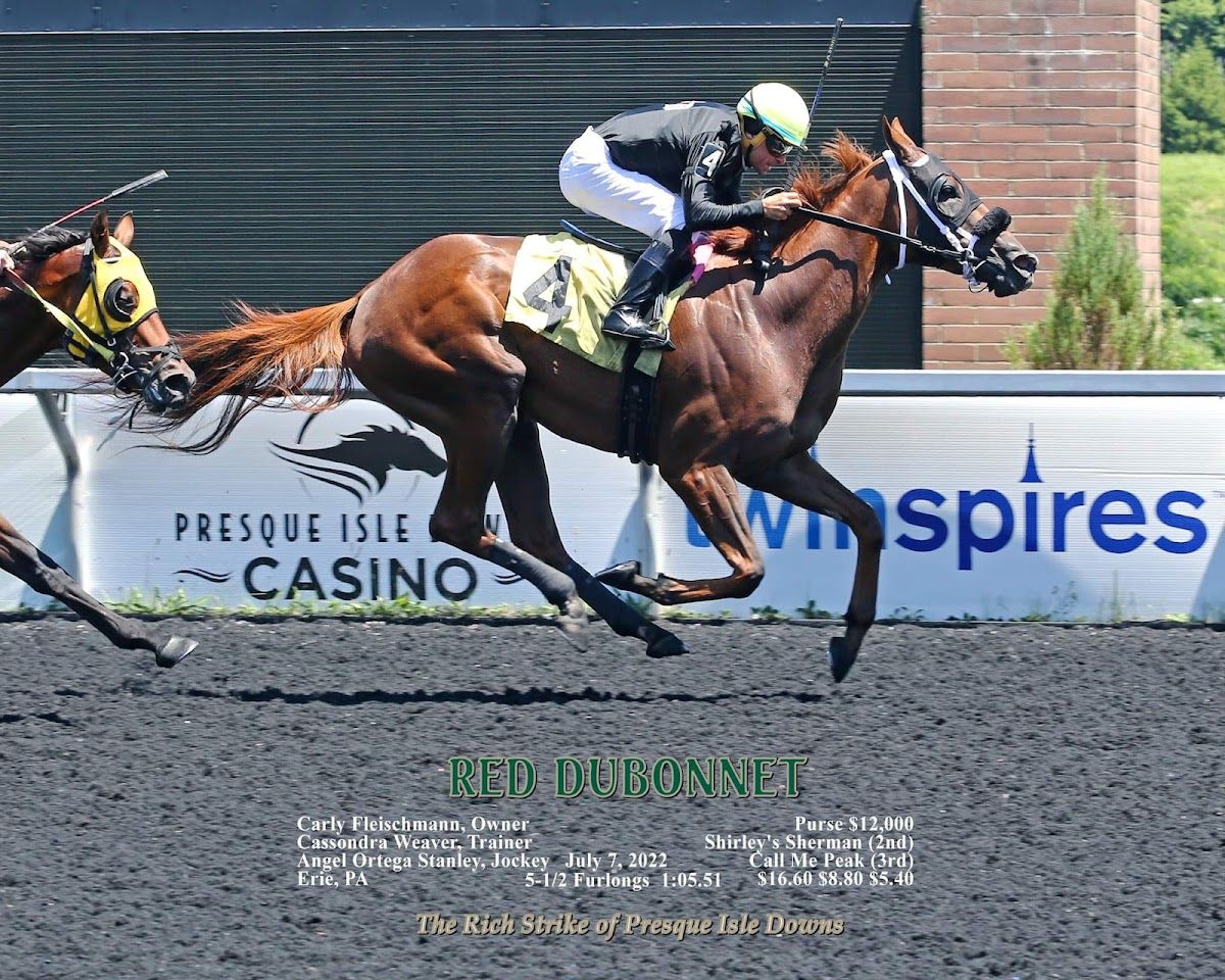 Presque Isle Downs & Casino photo 9