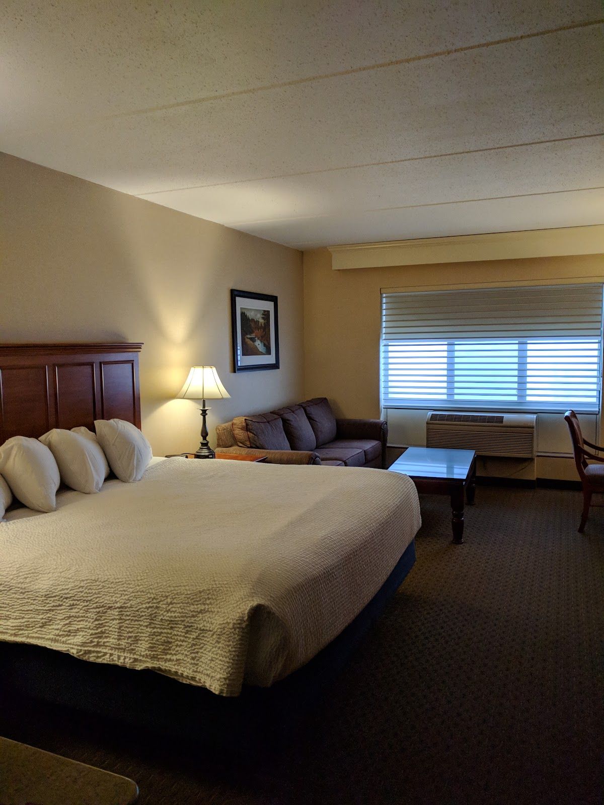 Cadillac Jack's Gaming Resort photo 9