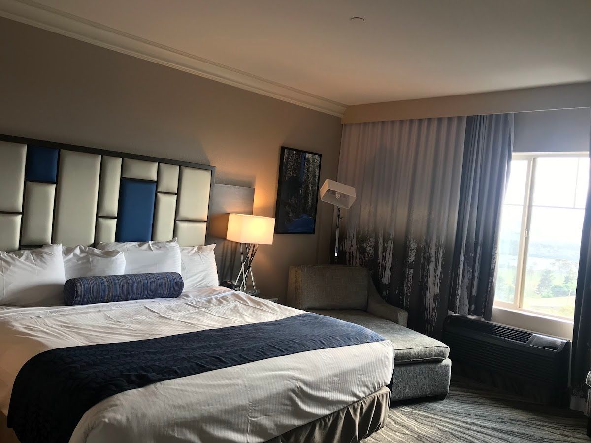Bear River Casino Resort photo 3